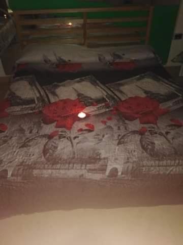 Villa Belvedere Mini Appartamento 庞特卡格纳诺 外观 照片